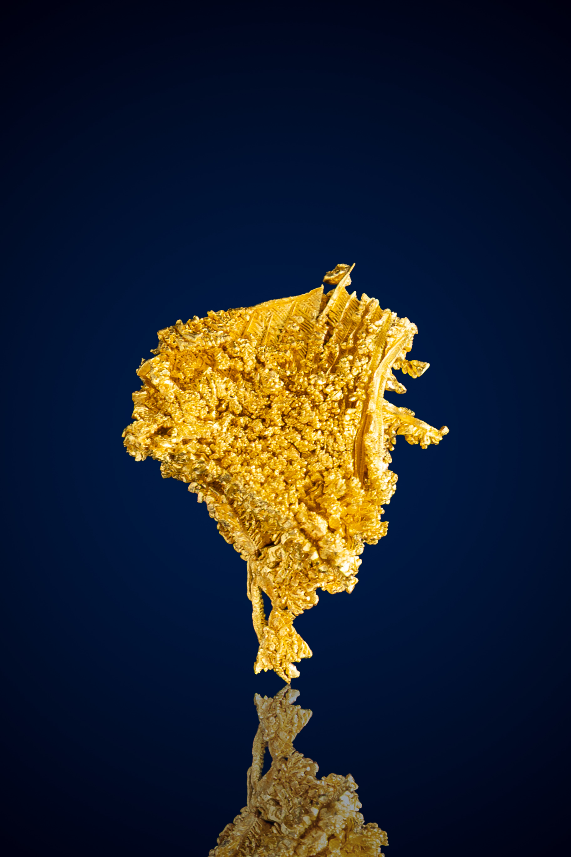 (image for) Bold, Filigreed Crystallized Gold Nugget - Round Mountain, NV - 1.30 grams